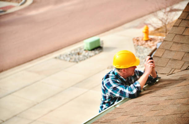 Best Roof Gutter Cleaning  in Wayne, OH